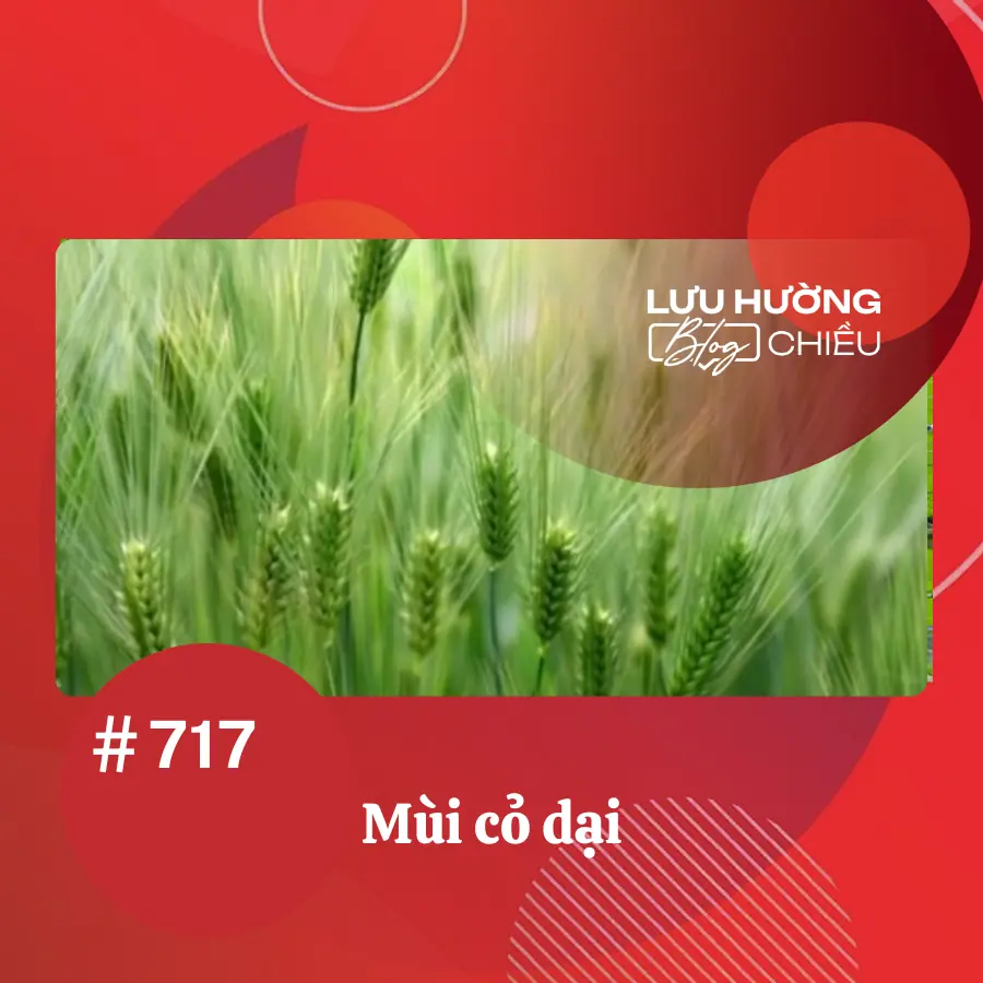 Mùi cỏ dại